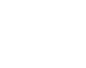 BATEAU FANTÔME BLANC (1)